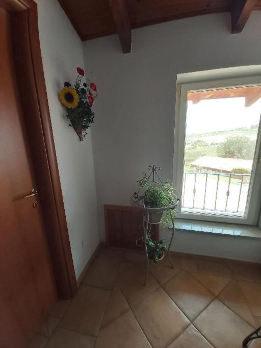 San Marzano Oliveto Cascina Cantaret Agriturismo מראה חיצוני תמונה